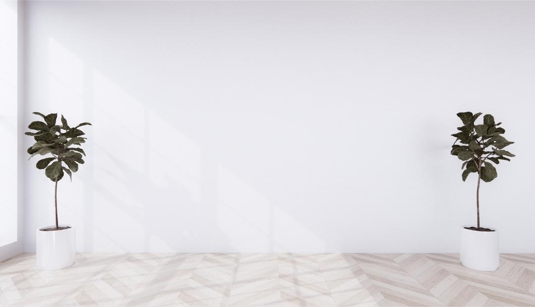 Image for Ideas to Decorate Empty Room Corners